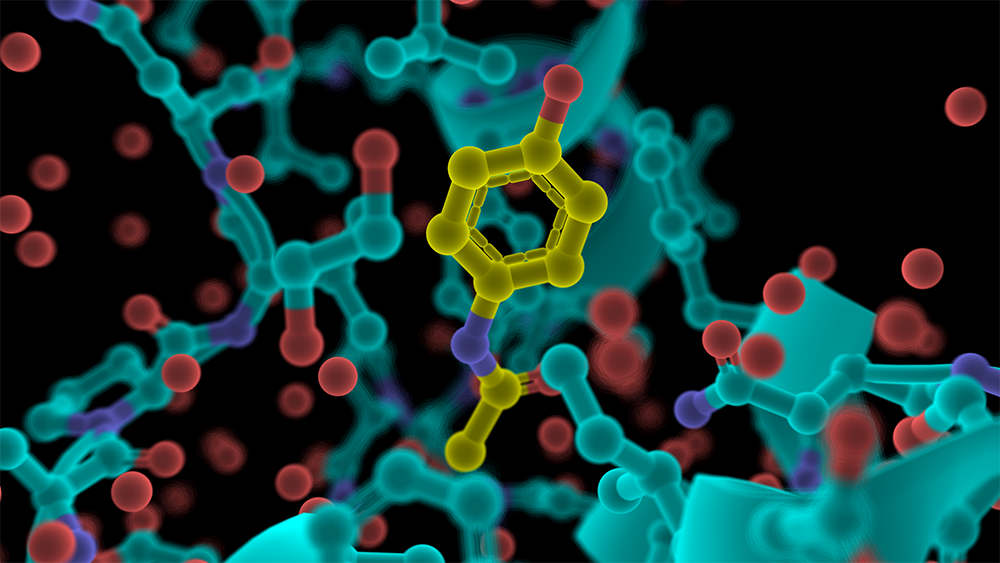 PyMOL - 开源版本安装